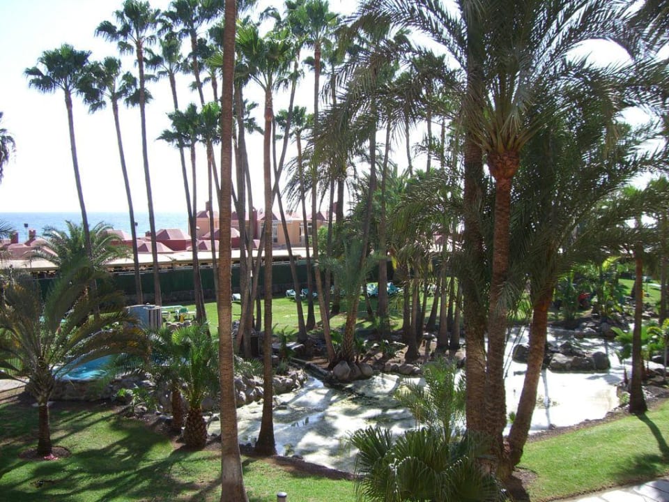 Garten Hotel Riu Palace Oasis