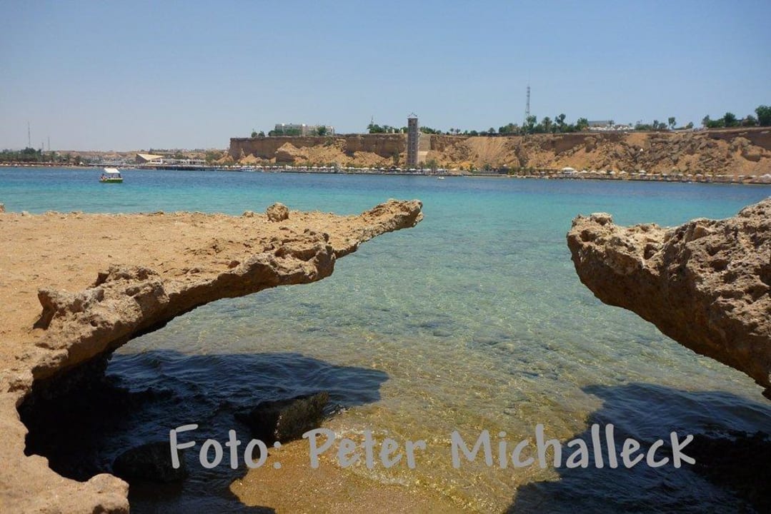 Gegenüber Albatros Sharm Resort