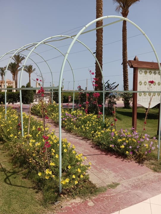 Garten Cleopatra Luxury Resort Makadi Bay