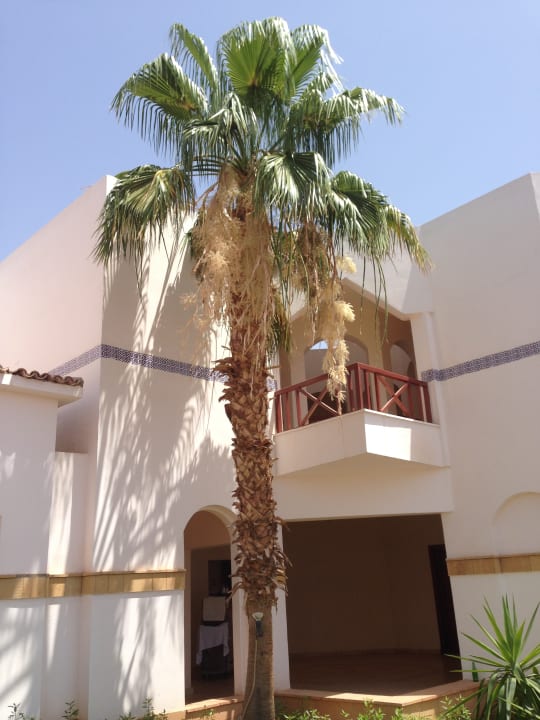 Außenansicht Amphoras Blu