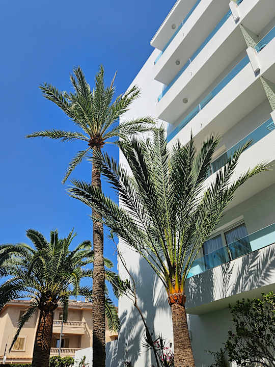 Außenansicht The Sea Hotel by Grupotel - Adults only