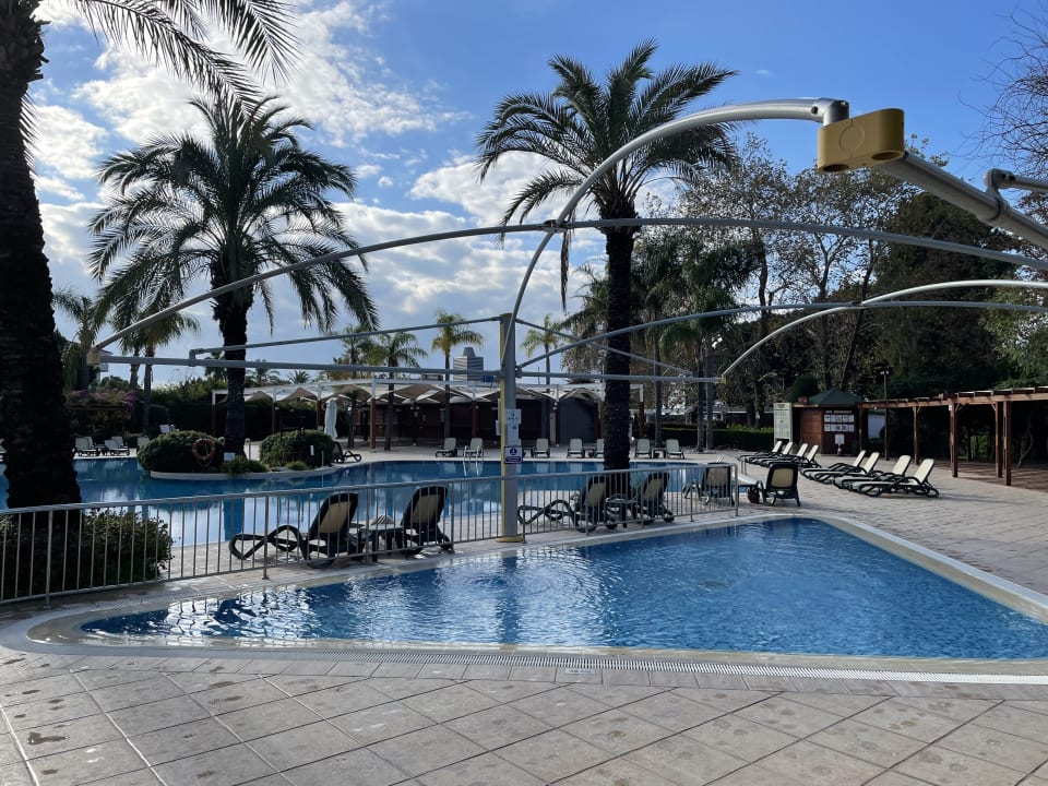 Pool Side Star Elegance