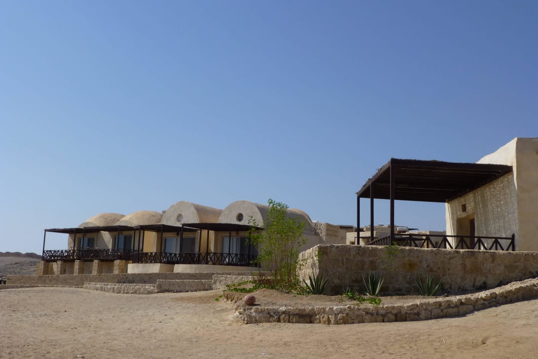 Zimmer The Oasis Dive Resort