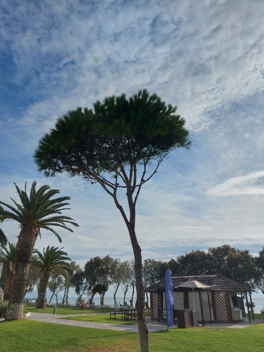 Gartenanlage Atlantica Beach Resort Kos