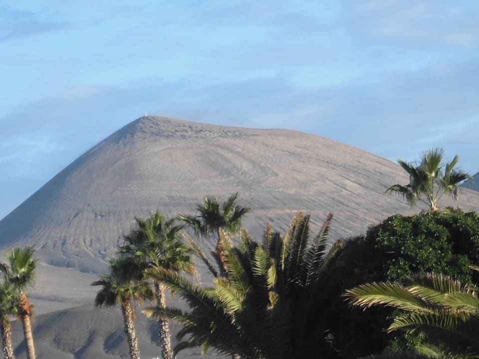 Panorama dalla camera Relaxia Olivina
