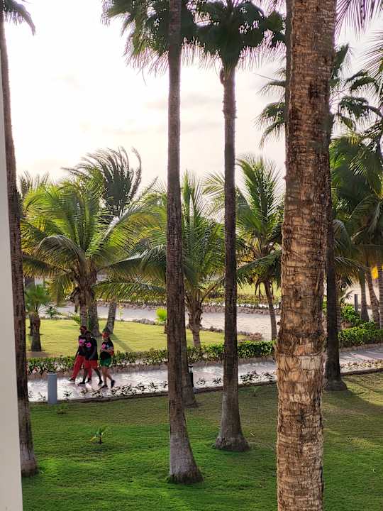 Ausblick Hotel Riu Karamboa