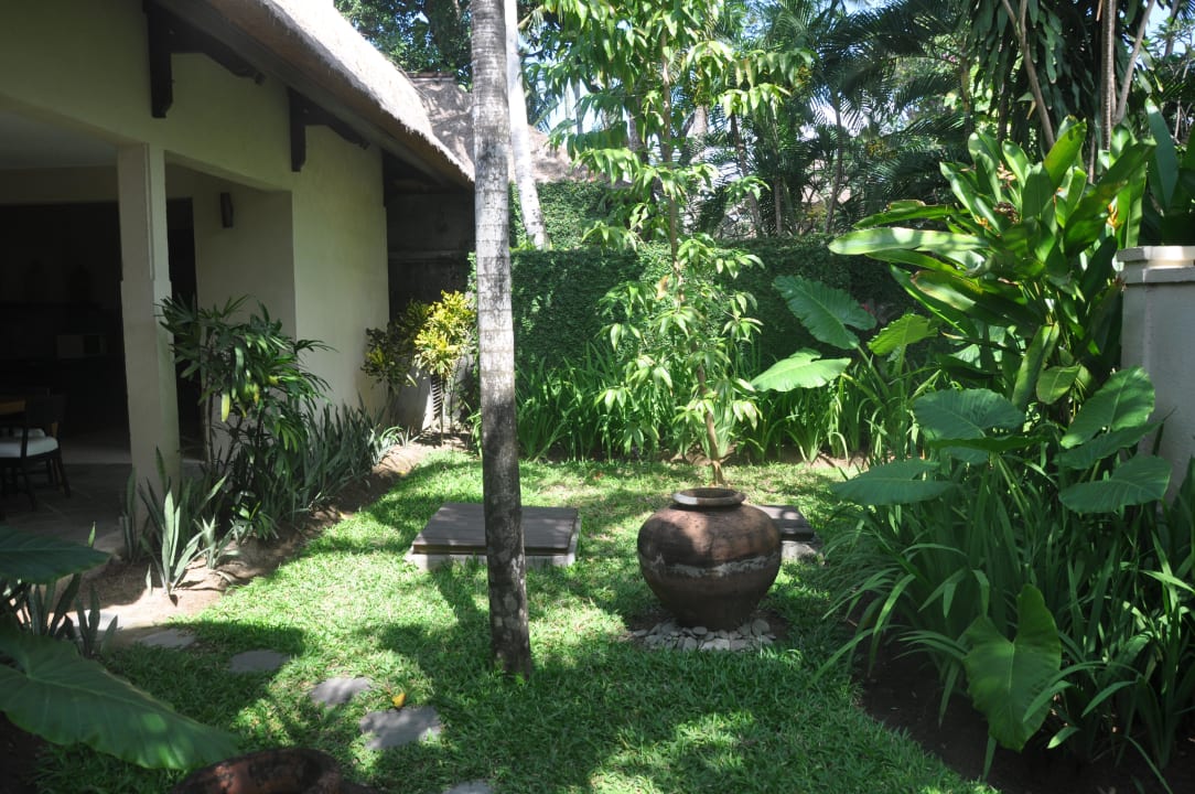 Ein kleiner Teil der Pflanzen in unserer Villa Kayumanis Sanur Private Villa & Spa