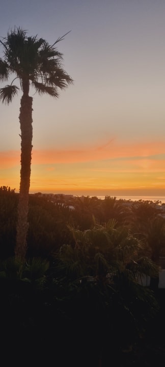 Ausblick allsun App.-Hotel Esquinzo Beach