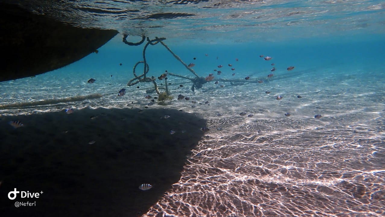 Sport & Freizeit  Shams Alam Beach Resort