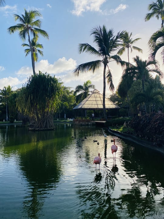 Gartenanlage Caribe Deluxe Princess