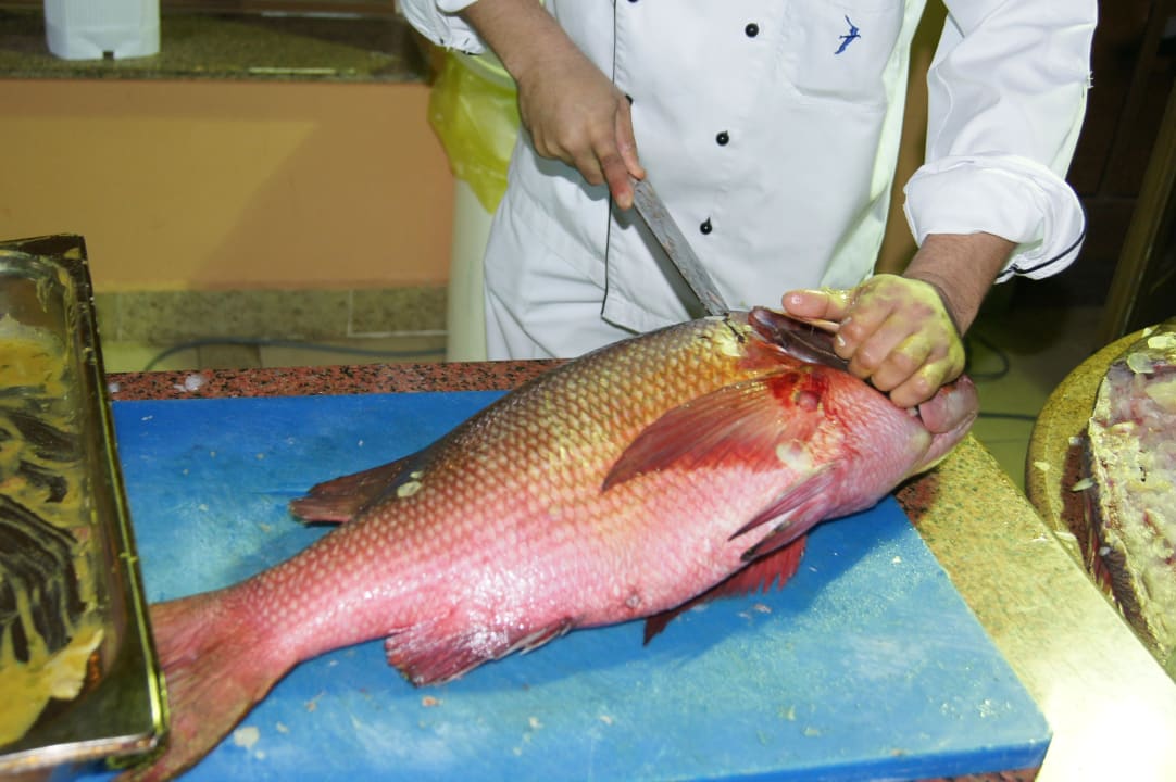 Fisch Beach Albatros Resort