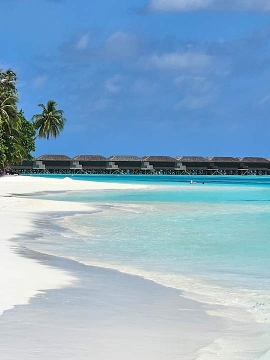Strand Meeru Maldives Resort Island