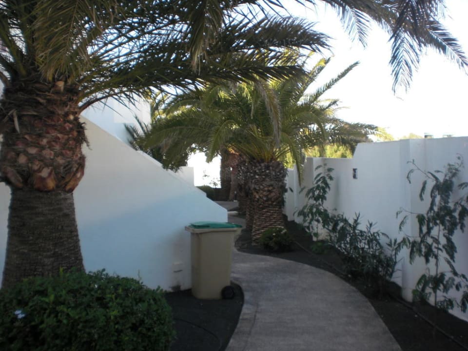 Weg zum Apartment Relaxia Olivina