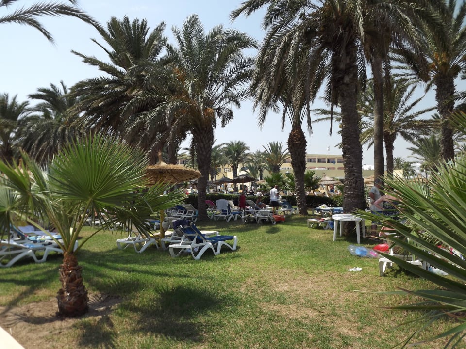 Garten am Pool Houda Golf & Beach Club