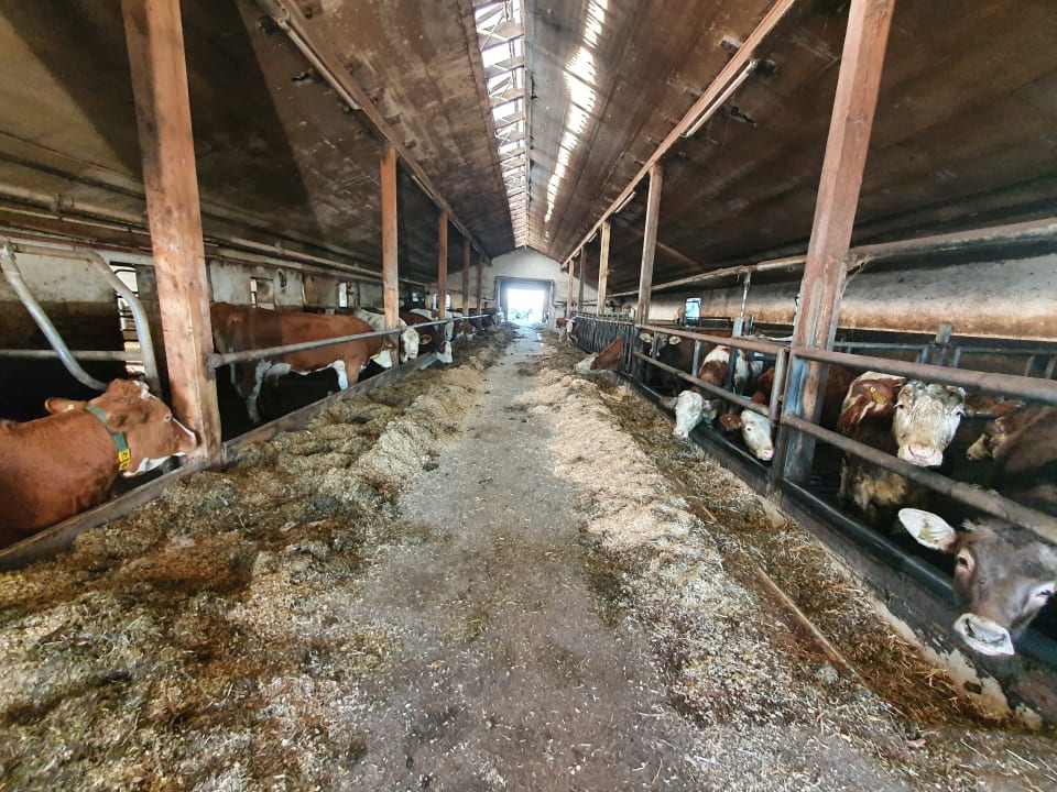 Sonstiges Thomahof