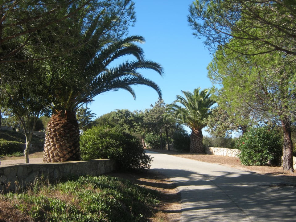 Sehr schön Residence Blue Corner Porto Pollo