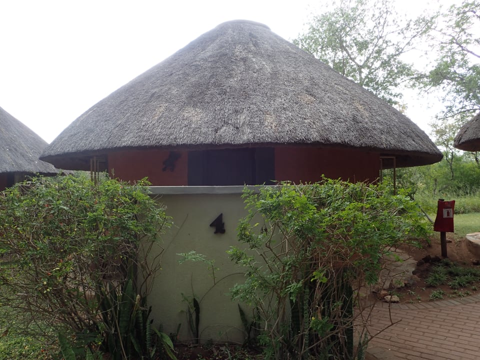 Zimmer Mohlabetsi Safari Lodge