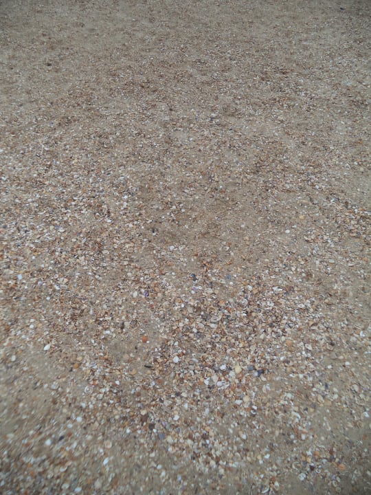 Strand mit Muscheln TUI BLUE Isla Cristina Palace