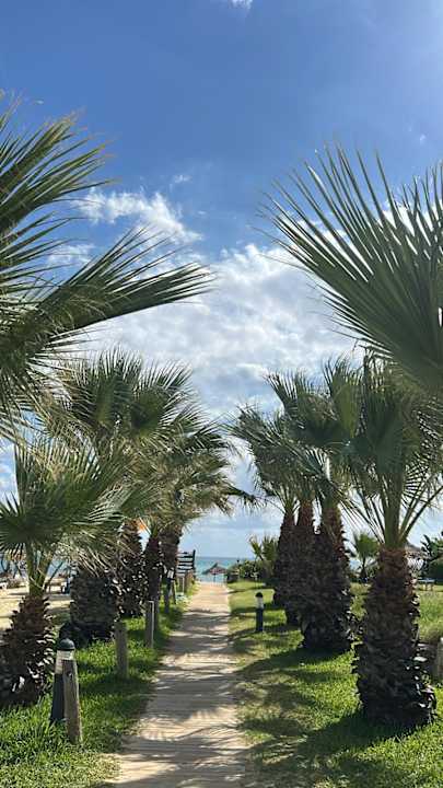 Gartenanlage TUI MAGIC LIFE Africana