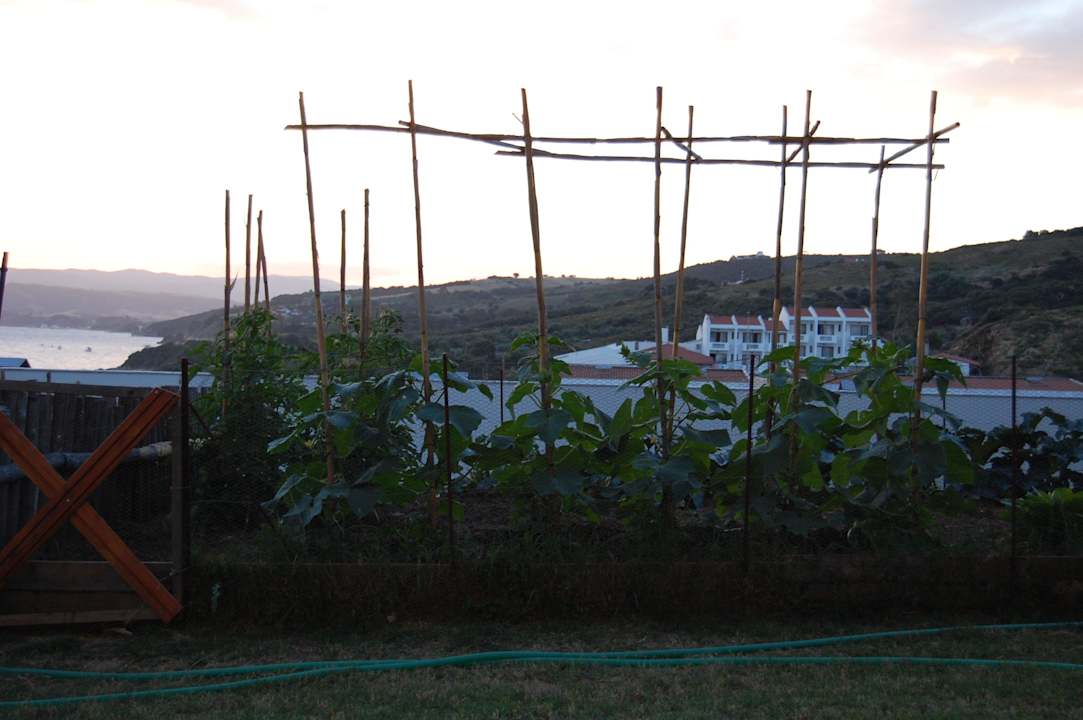 Hotel Akrathos Beach Akrathos Beach Hotel