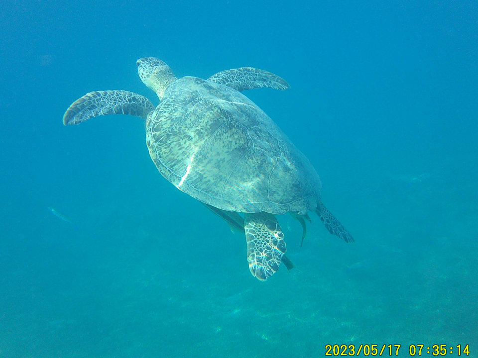 Sport & Freizeit Shams Prestige Abu Soma-Adults Only