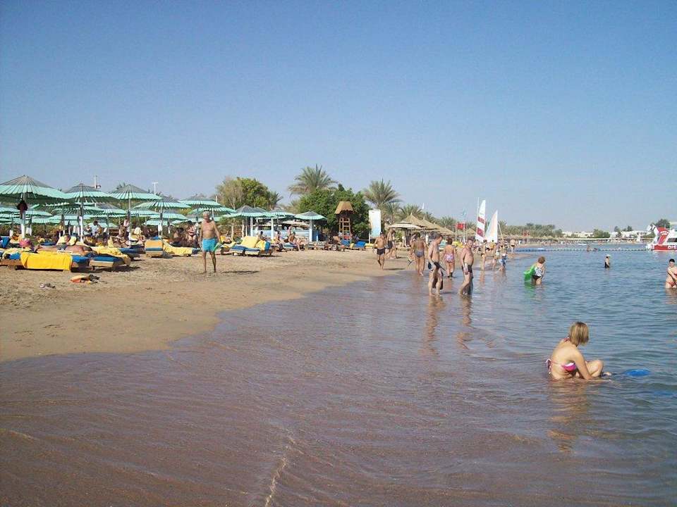 Strandblick Ghazala Gardens