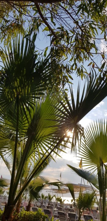 Gartenanlage Hotel Delphin Imperial