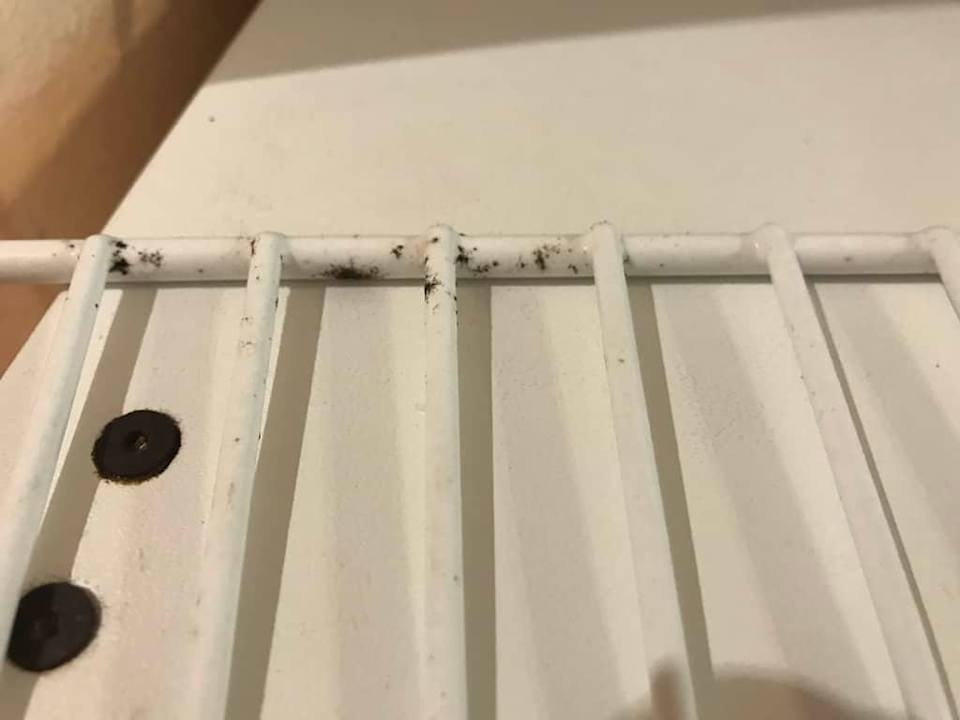 Lodówka  Hotel Briz