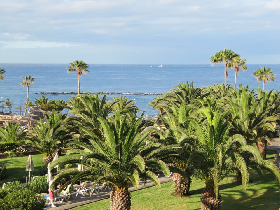 Ausblick vom Balkon Hotel Riu Palace Tenerife