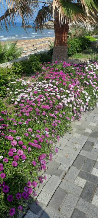 Gartenanlage Acapulco Beach Club & Resort