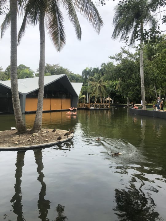 Gastro Grand Bávaro Princess