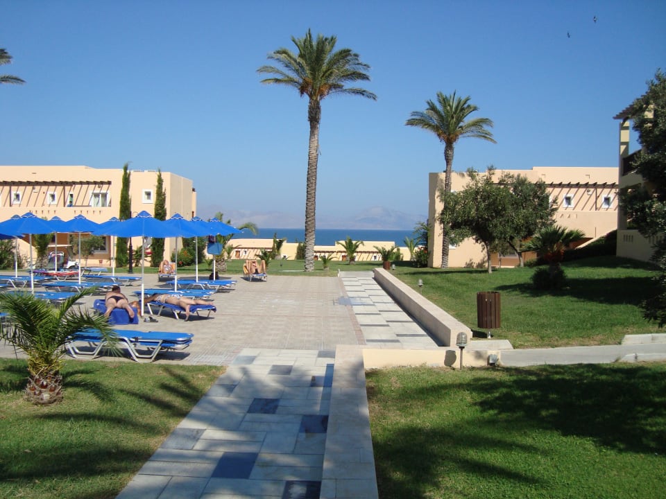 Poolanlage mit Meerblick Hotel Horizon Beach Resort