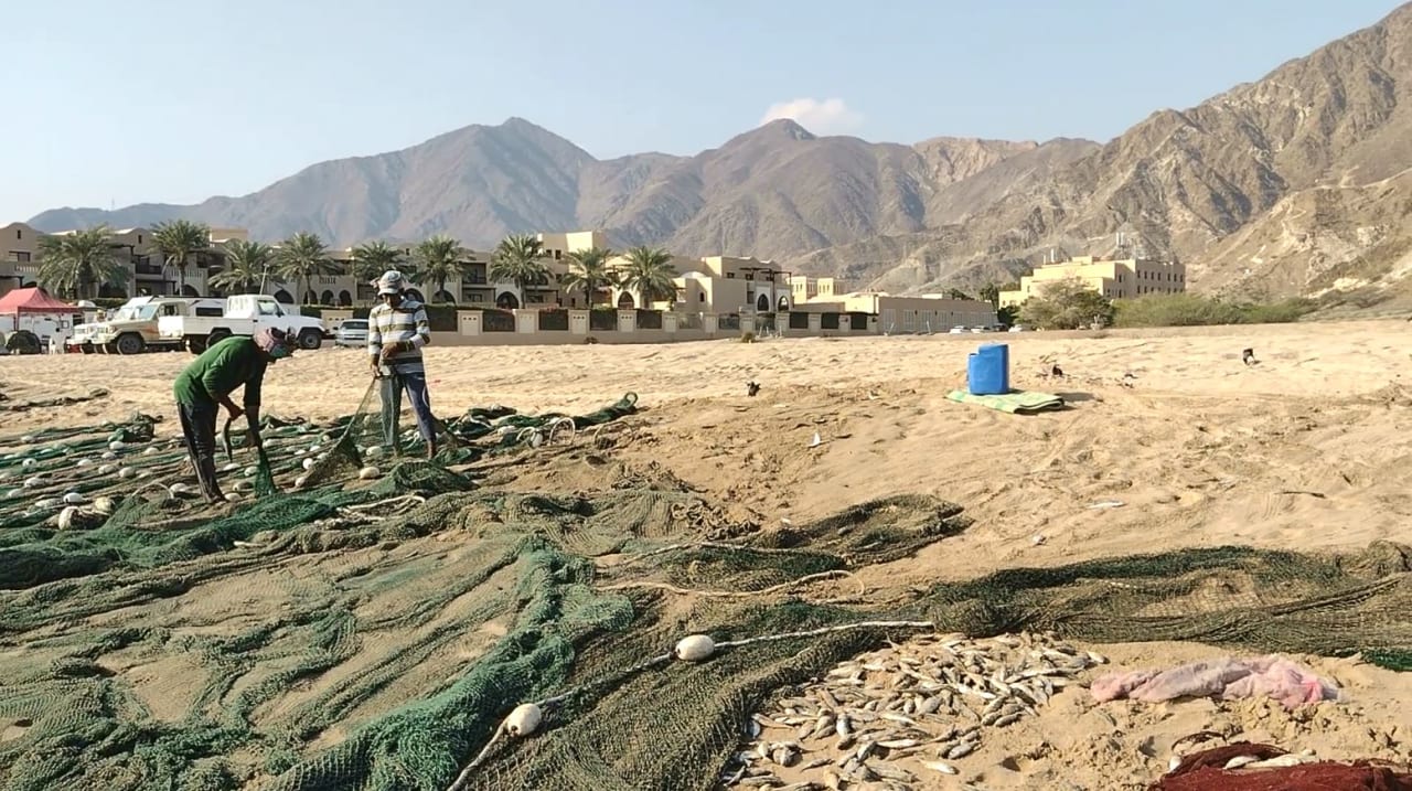 Außenansicht Miramar Al Aqah Beach Resort