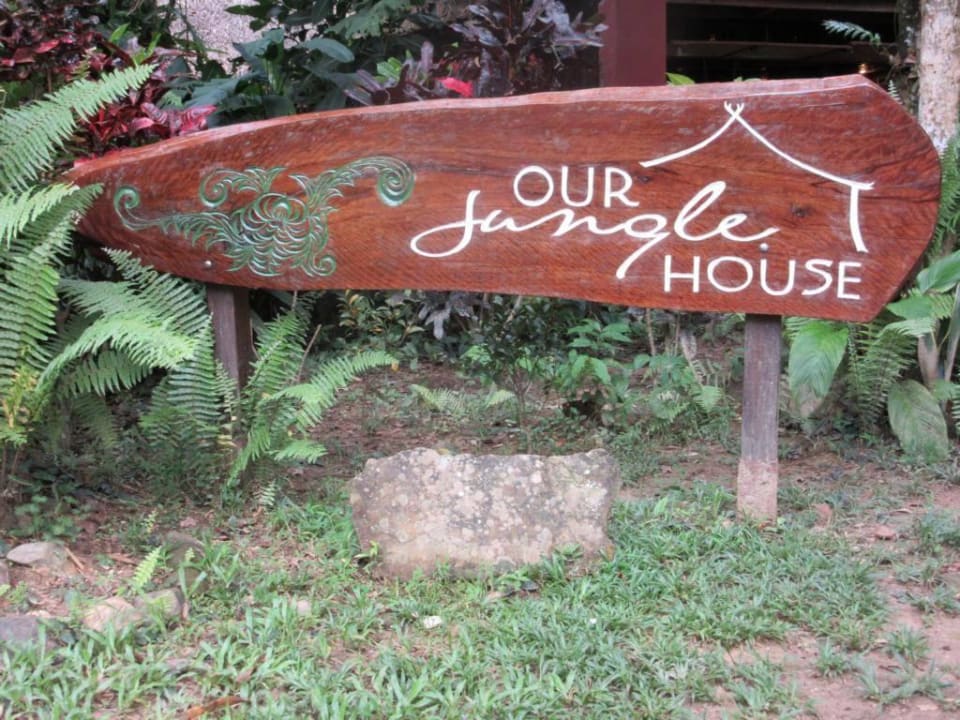Gartenanlage Our Jungle House