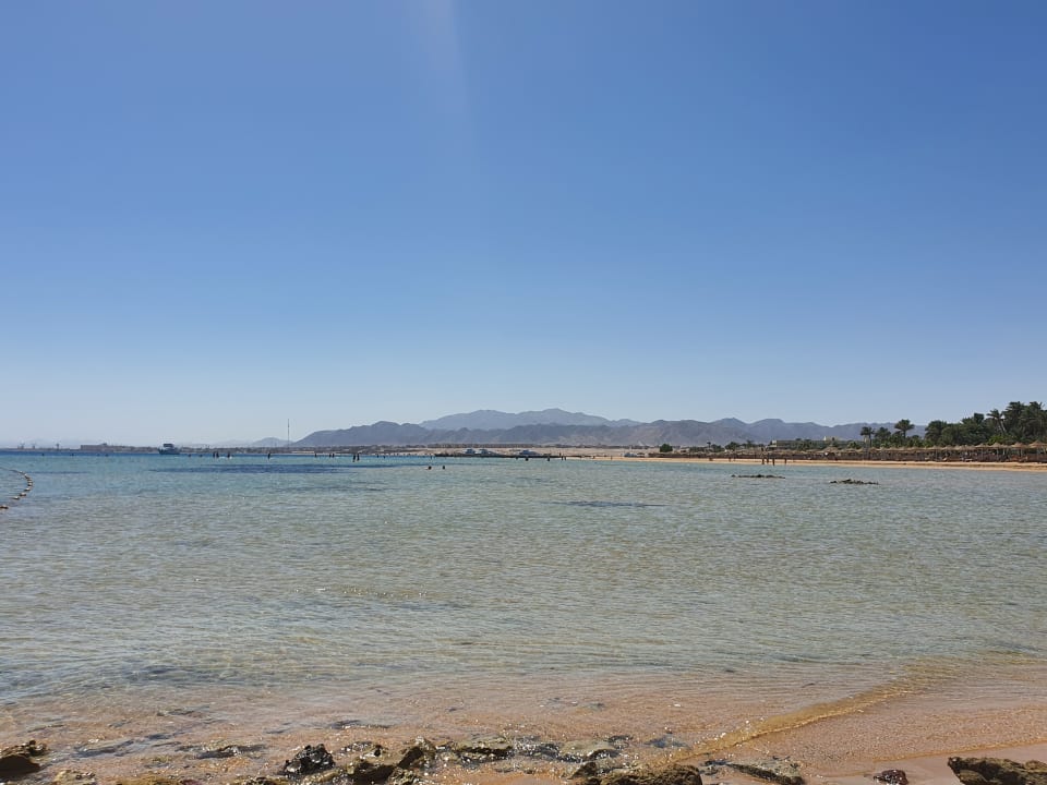 Strand Shams Prestige Abu Soma-Adults Only