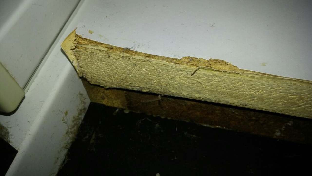 Zimmer Hotel Reetdachhaus Gräftendiek Drei