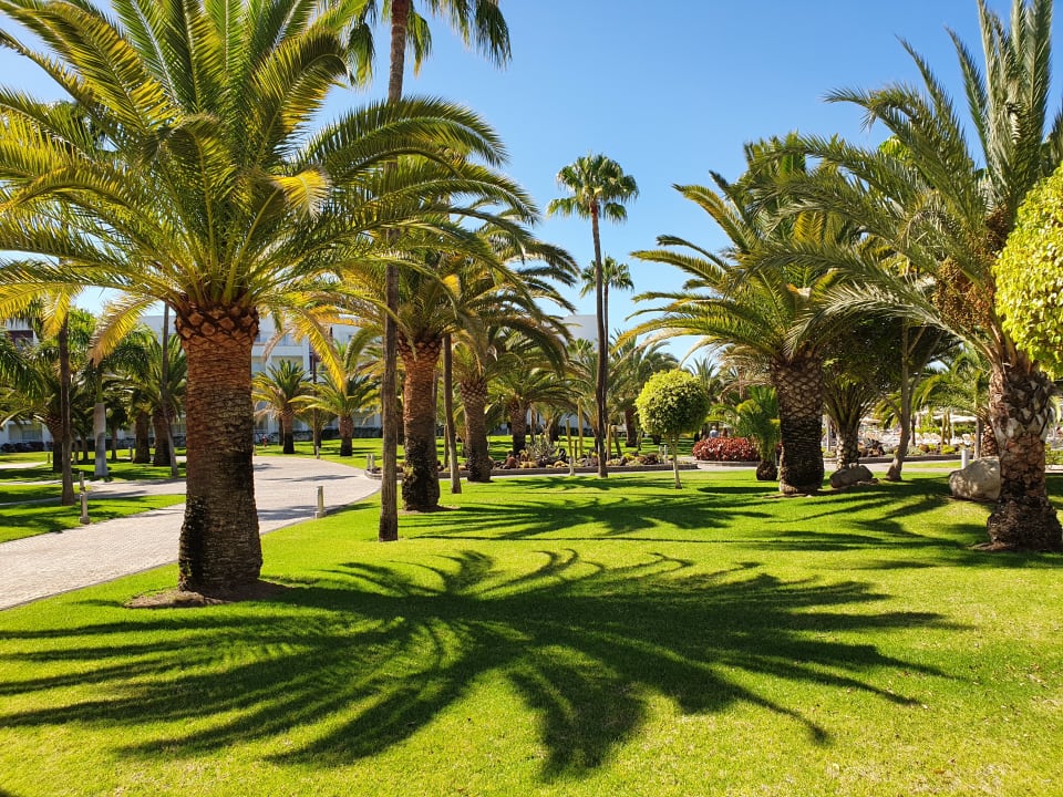 Gartenanlage Hotel Riu Gran Canaria