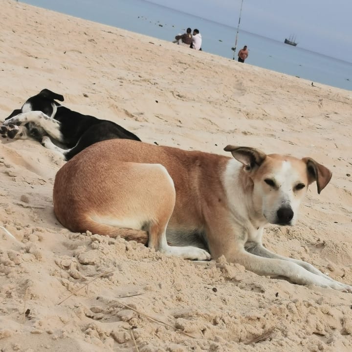 Strand Hotel Marabout