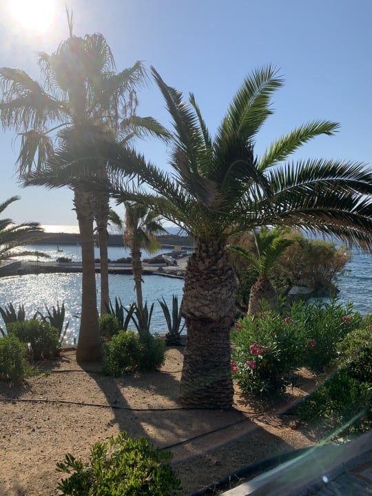 Gartenanlage Iberostar Selection Creta Marine