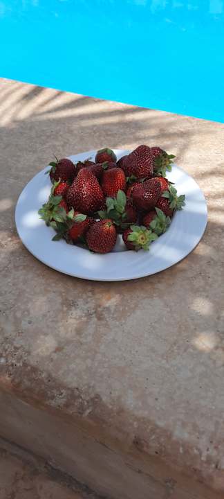 Gastro Hurghada Long Beach Resort