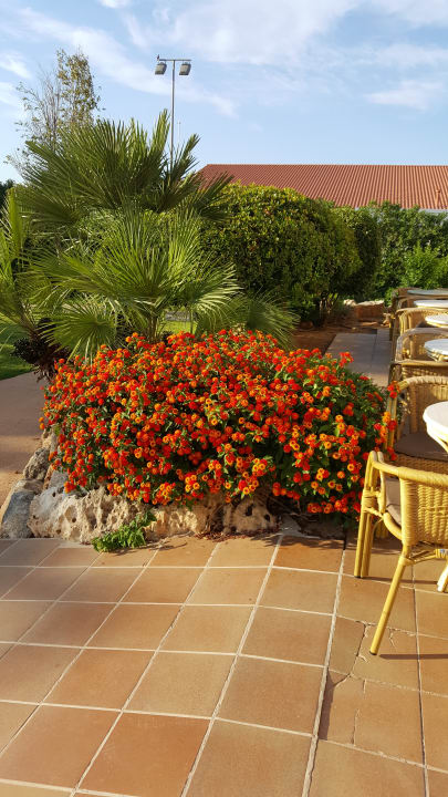 Gartenanlage Garbí Cala Millor