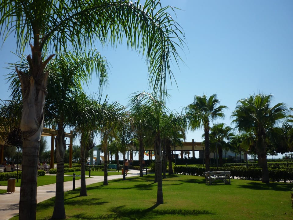 Alles gepflegt Hotel Baia Lara