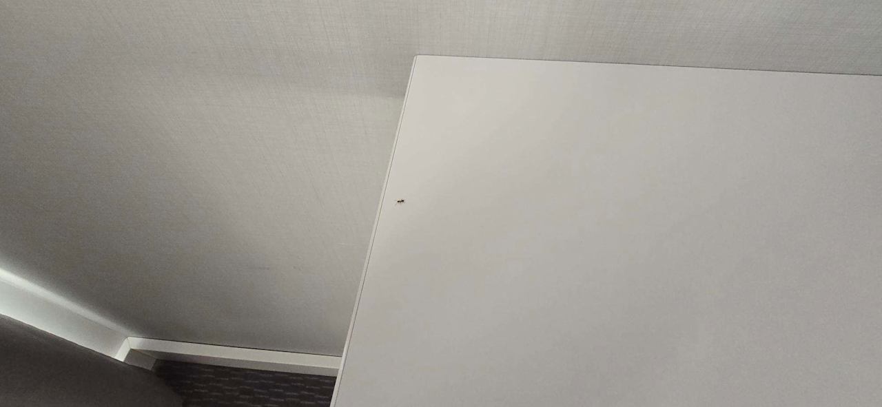 Zimmer Holiday Inn Express Berlin City Center