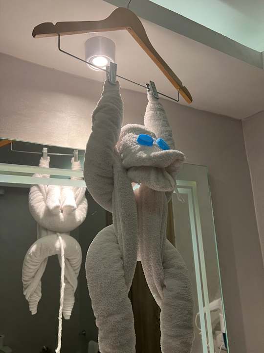 Zimmer Pickalbatros Sea World Resort - Marsa Alam