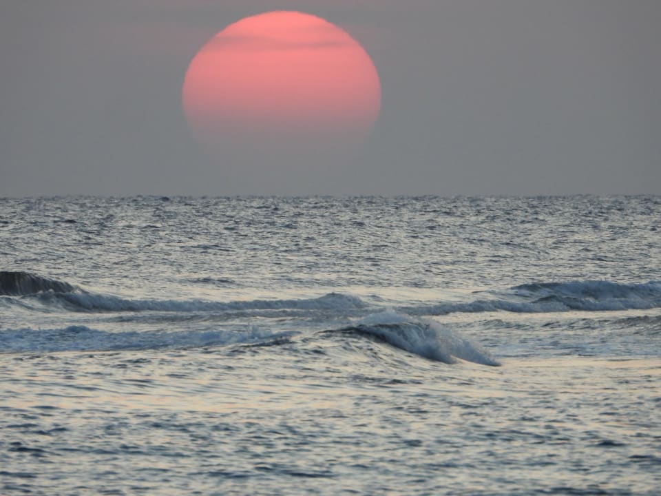 Strand Malikia Resort Abu Dabbab