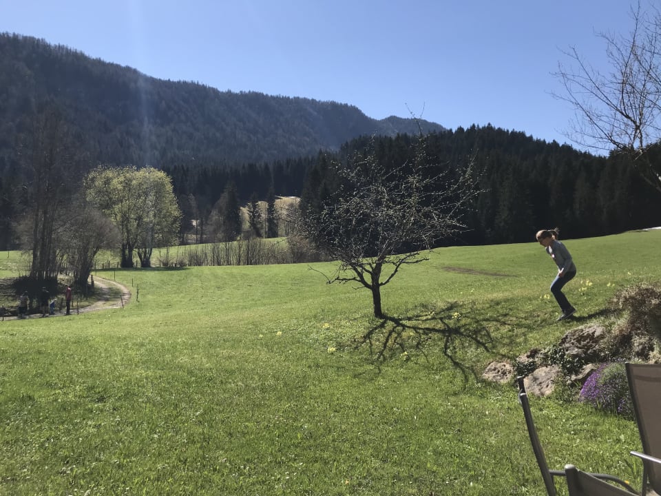 Gartenanlage Bio-Bauernhof Oberhochstätt