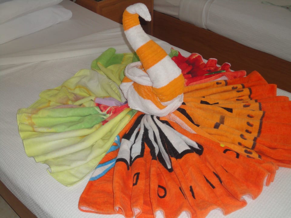 Immer Sauber! Menaville Safaga