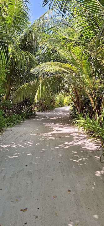 Gartenanlage Sun Siyam Iru Veli