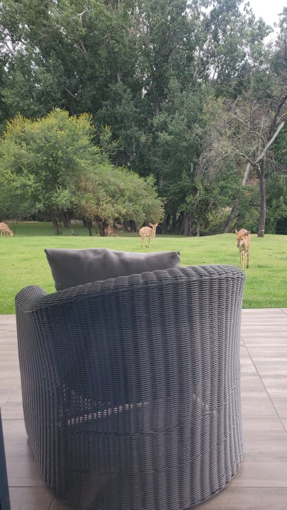 Gartenanlage Wildehondekloof Game Lodge