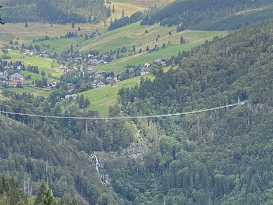 Ausblick Naturparkhotel Grüner Baum